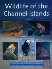 Wildlife Of The Channel Islands