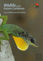 Wildlife Of The Eastern Caribbean