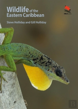 Bertrand.pt - Wildlife Of The Eastern Caribbean