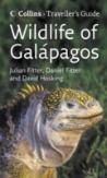 Wildlife Of The Galapagos