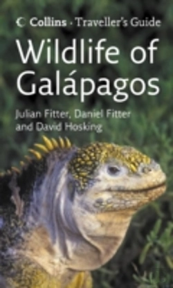 Bertrand.pt - Wildlife Of The Galapagos