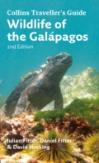 Wildlife Of The Galapagos