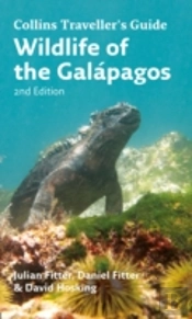 Wildlife Of The Galapagos