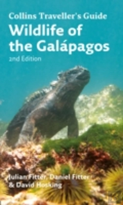 Bertrand.pt - Wildlife Of The Galapagos