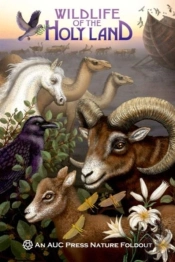 Wildlife Of The Holy Land