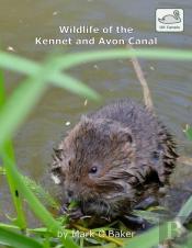 Wildlife Of The Kennet And Avon Canal