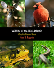 Wildlife Of The Mid-Atlantic