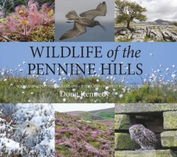 Bertrand.pt - Wildlife Of The Pennine Hills