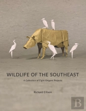 Wildlife Of The Southeast