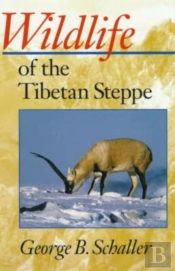 Wildlife Of The Tibetan Steppe