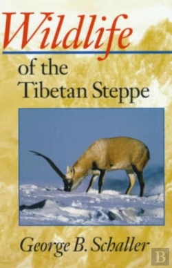Bertrand.pt - Wildlife Of The Tibetan Steppe