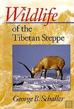 Bertrand.pt - Wildlife Of The Tibetan Steppe
