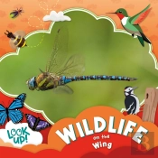 Wildlife On The Wing