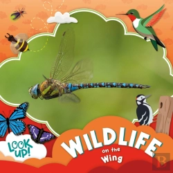 Bertrand.pt - Wildlife On The Wing