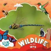 Wildlife On The Wing