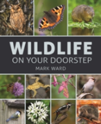 Wildlife On Your Doorstep