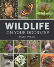 Wildlife On Your Doorstep