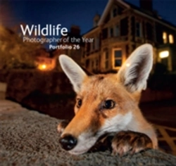 Bertrand.pt - Wildlife Photographer Of The Year 26