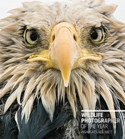 Wildlife Photographer Of The Year: Highlights Volume 7