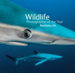 Bertrand.pt - Wildlife Photographer Of The Year