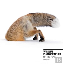 Bertrand.pt - Wildlife Photographer Of The Year Pocket Diary 2021