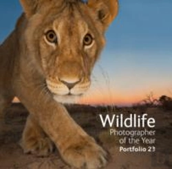 Bertrand.pt - Wildlife Photographer Of The Year Portfolio 23