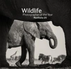 Bertrand.pt - Wildlife Photographer Of The Year: Portfolio 25