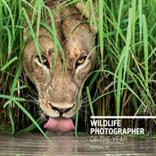 Wildlife Photographer Of The Year: Portfolio 28