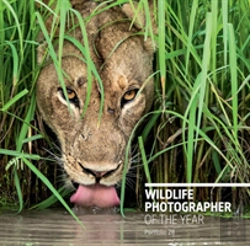 Bertrand.pt - Wildlife Photographer Of The Year: Portfolio 28