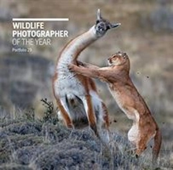 Bertrand.pt - Wildlife Photographer Of The Year: Portfolio 29