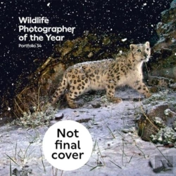 Bertrand.pt - Wildlife Photographer Of The Year: Portfolio 34