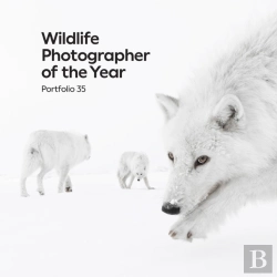Bertrand.pt - Wildlife Photographer Of The Year: Portfolio 35