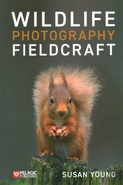 Bertrand.pt - Wildlife Photography Fieldcraft