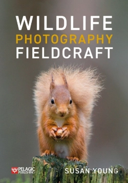 Bertrand.pt - Wildlife Photography Fieldcraft