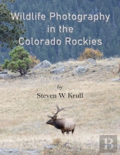 Wildlife Photography In The Colorado Rockies