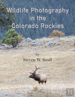 Bertrand.pt - Wildlife Photography In The Colorado Rockies