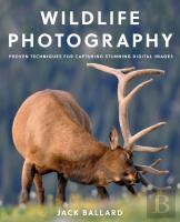 Wildlife Photography