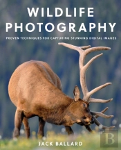Wildlife Photography