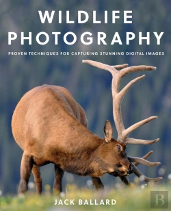 Bertrand.pt - Wildlife Photography