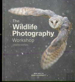 Bertrand.pt - Wildlife Photography Workshop, The