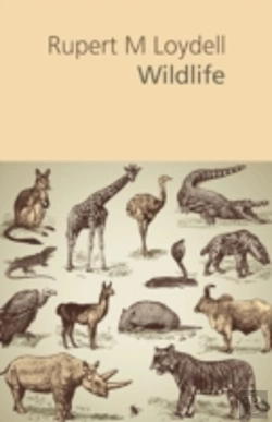Bertrand.pt - Wildlife