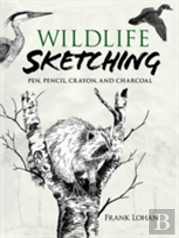 Wildlife Sketching