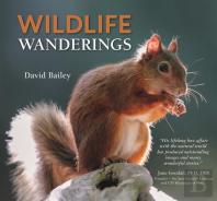 Wildlife Wanderings
