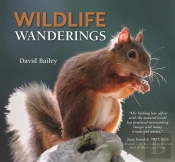 Wildlife Wanderings