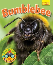 Wildlife Watchers: Bumblebee