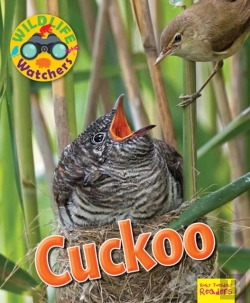 Bertrand.pt - Wildlife Watchers: Cuckoo