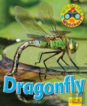 Wildlife Watchers: Dragonfly