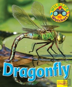 Bertrand.pt - Wildlife Watchers: Dragonfly