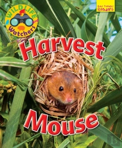 Bertrand.pt - Wildlife Watchers: Harvest Mouse