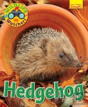 Wildlife Watchers: Hedgehog